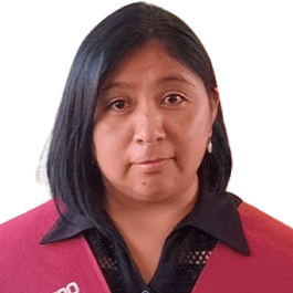 Lourdes Tuco Apaza
