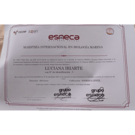 Luciana Iriarte